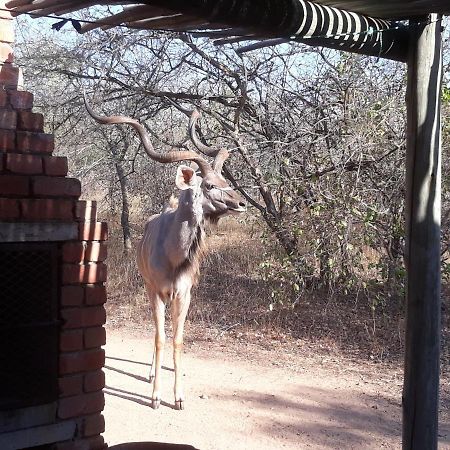 Eagle'S Crest Villa Marloth Park Eksteriør billede