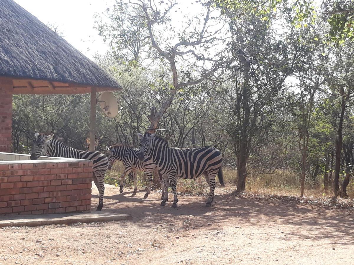 Eagle'S Crest Villa Marloth Park Eksteriør billede