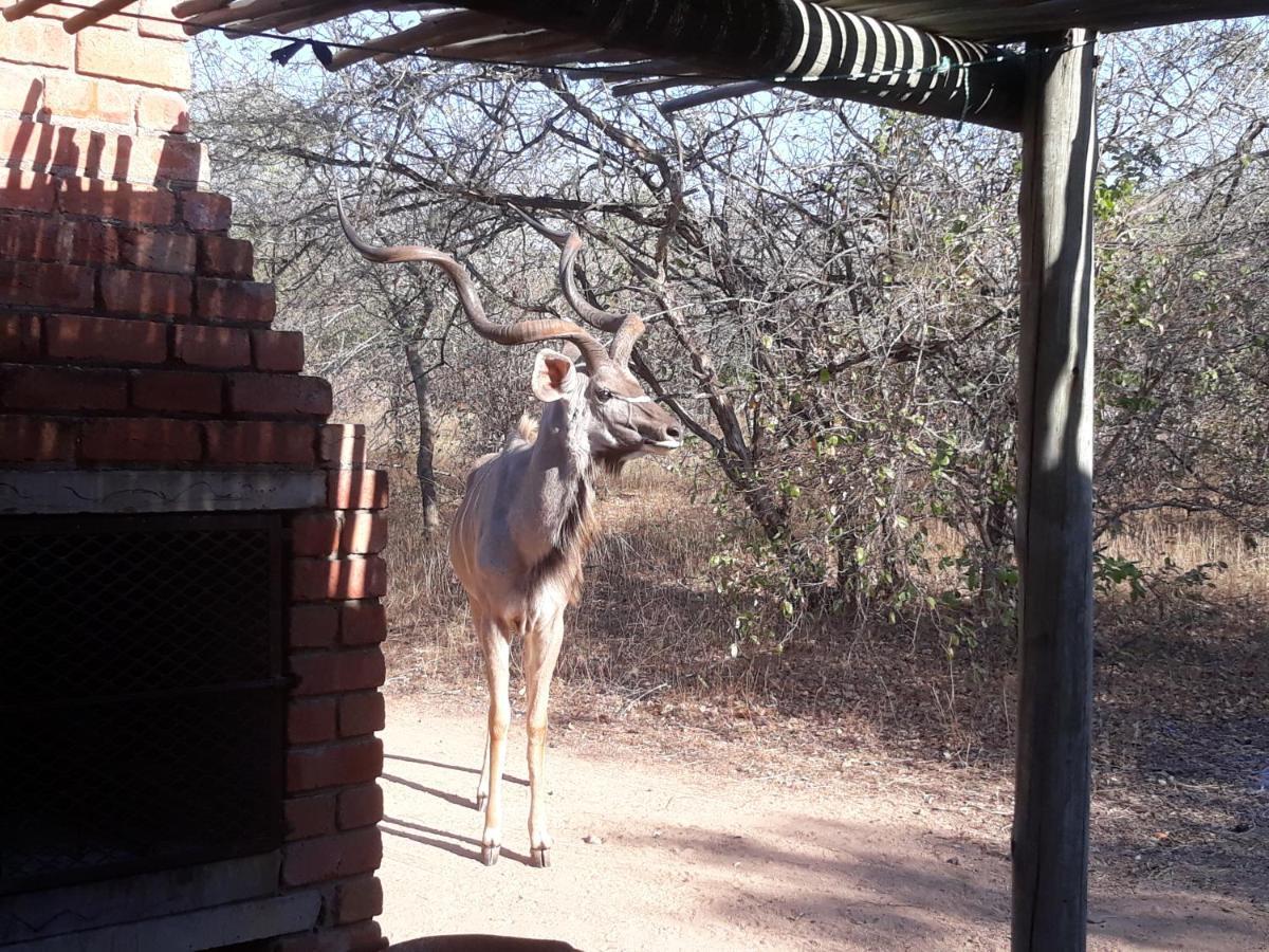 Eagle'S Crest Villa Marloth Park Eksteriør billede